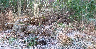Primary source branches for brush piles (Figure 3)