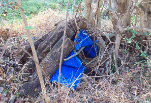 Lean-To Shelter In Use (Figure 5)